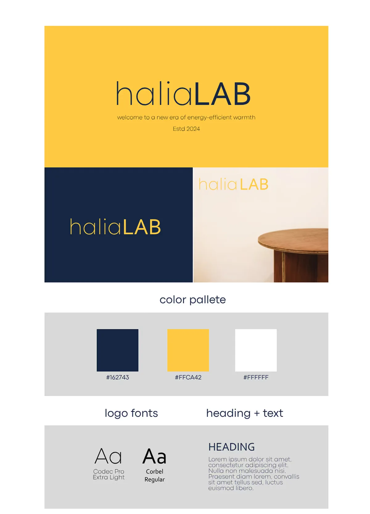 Picture of the different branding aspects of the HaliaLab website, including typography, colors and elements